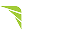 footer-dlm-logo